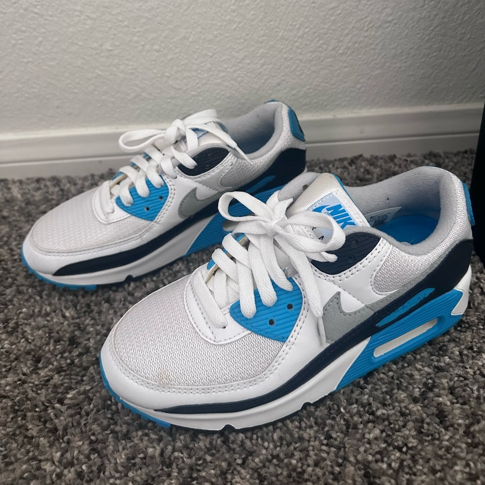 Nike Air Max 90 in Gray and Blue